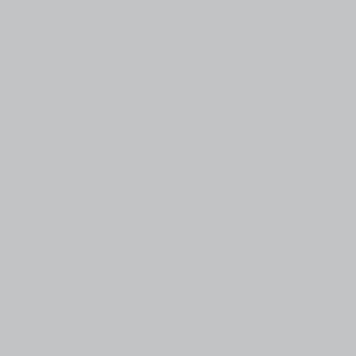 Seamless Background Paper Gray Tint 10x15ft