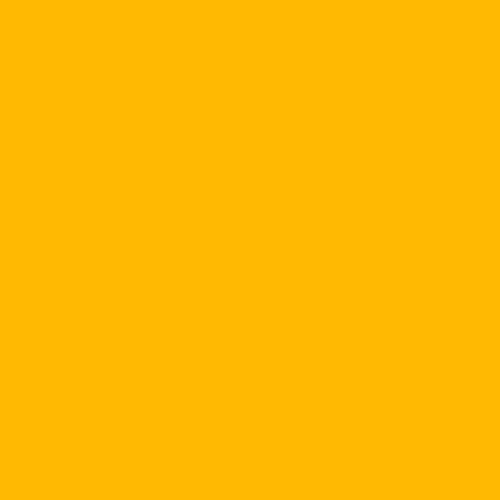Color Effects Lighting Gel Filter- Yellow - 20x24" Sheet