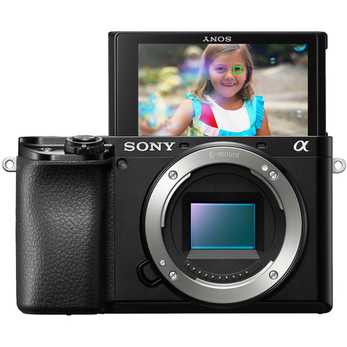 Sony Alpha a6600 Mirrorless Digital Camera Body Only