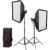 Godox SL60IID Daylight LED Video Light 2-Light Kit