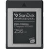 SanDisk Professional PRO-CINEMA 256GB CFexpress Type-B Memory Card