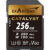 Exascend Catalyst 256GB UHS-II V60 Memory Card